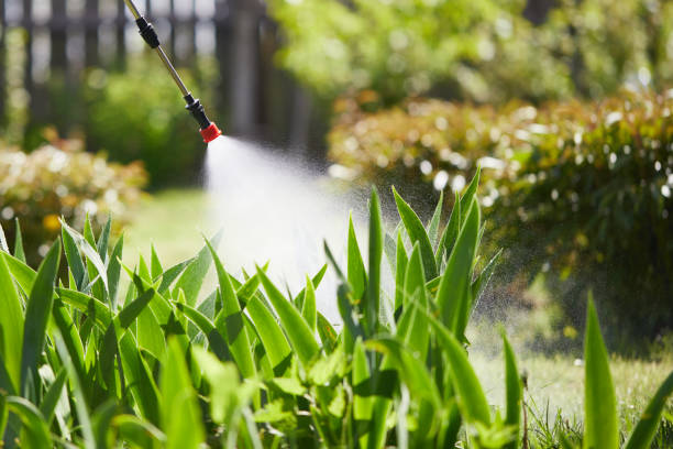 24/7 Emergency Wasp Removal experts in Spring Valley, IL