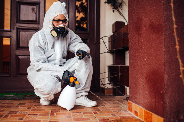 Reliable Wasp Removal contractor in Spring Valley, IL by Show Me Pest Control