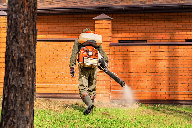 Top rated local Wasp Removal specialists in Spring Valley, IL